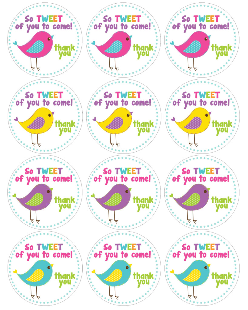 Bird Themed Birthday Party With FREE Printables Bird Birthday Parties 